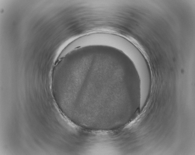 X0000058760862200510211656