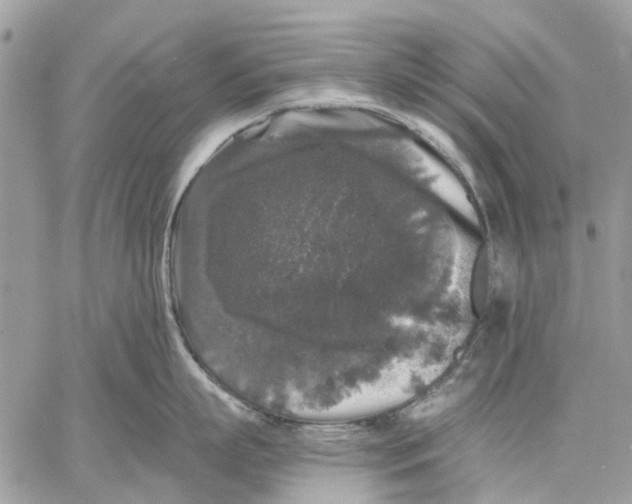 X0000058760863200510211656