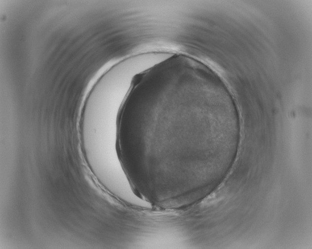 X0000058760864200510211656