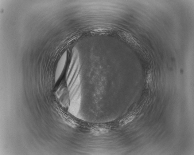 X0000058760868200510211655