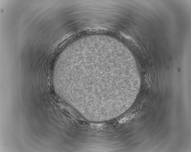 X0000058760870200510211655