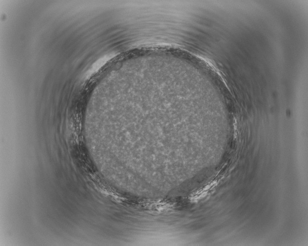 X0000058760871200510211655