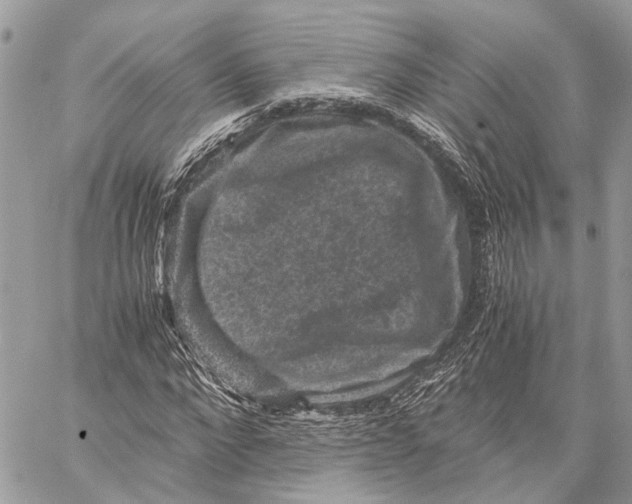 X0000058760872200510211655