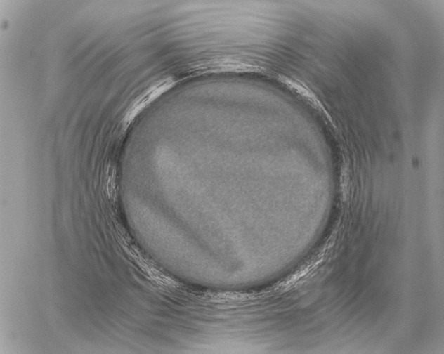 X0000058760873200510211655