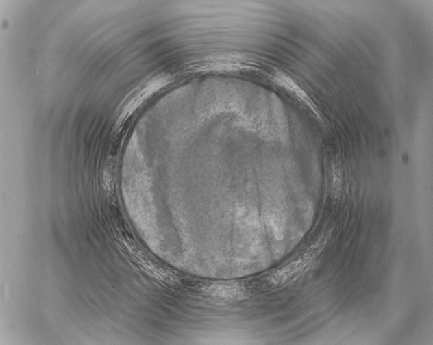 X0000058760874200510211655