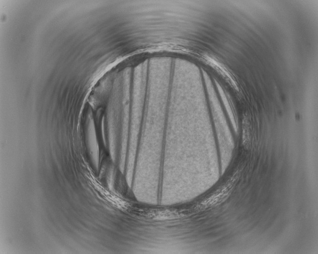 X0000058760876200510211655