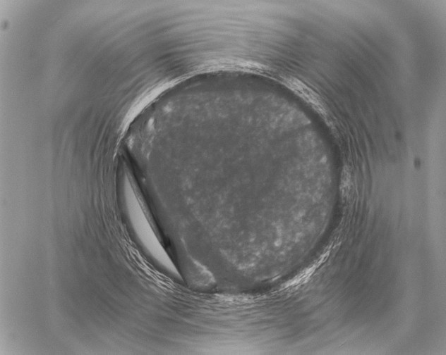 X0000058760877200510211655