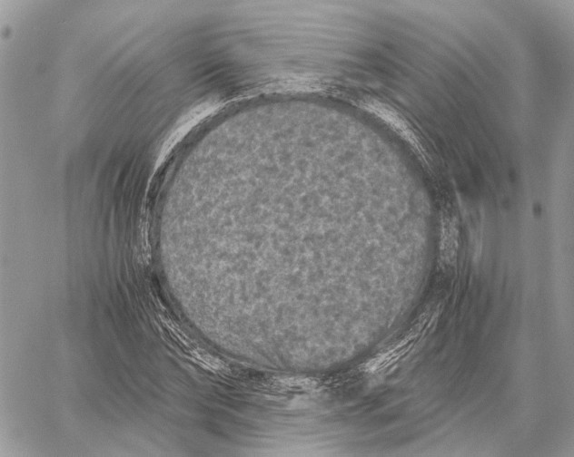 X0000058760878200510211655