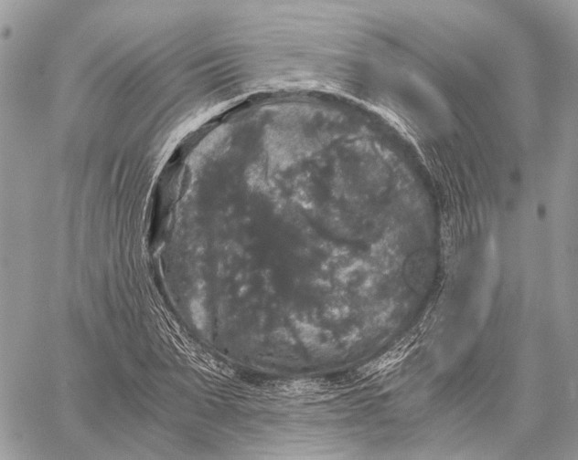 X0000058760879200510211655