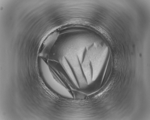 X0000058760880200510211655