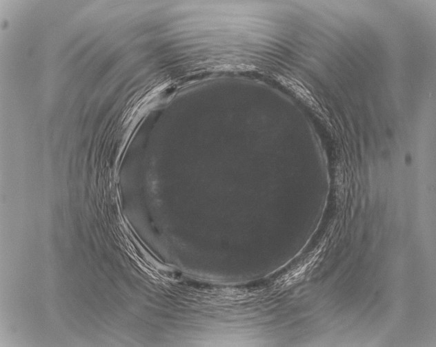 X0000058760881200510211655