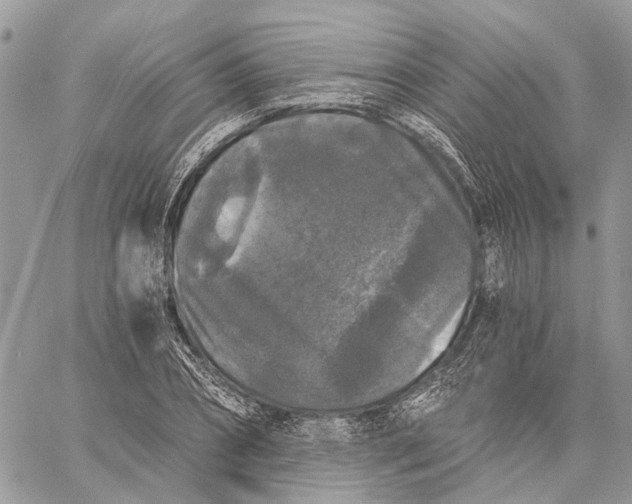 X0000058760882200510211655