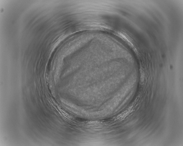 X0000058760883200510211655