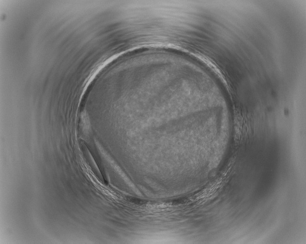 X0000058760887200510211655