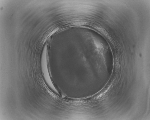 X0000058760889200510211655