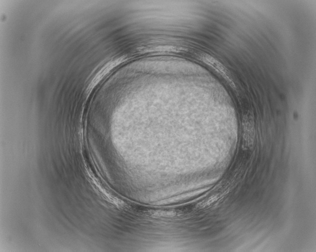 X0000058760890200510211655