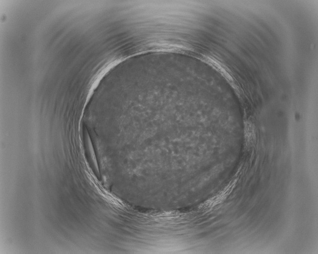 X0000058760891200510211655