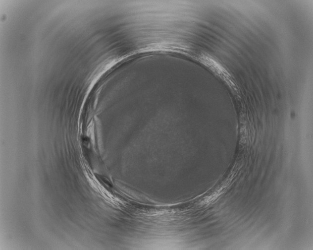 X0000058760892200510211655