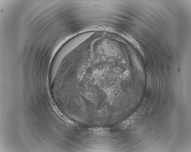 X0000058760896200510211655