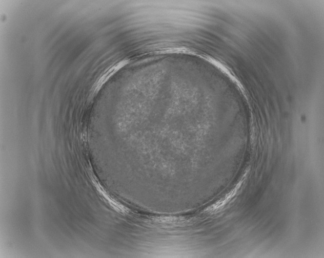 X0000058760897200510211655