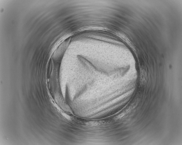 X0000058760898200510211654