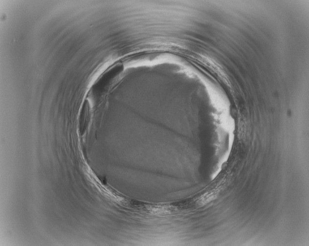 X0000058760899200510211654