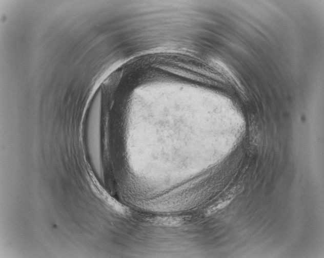 X0000058760900200510211654