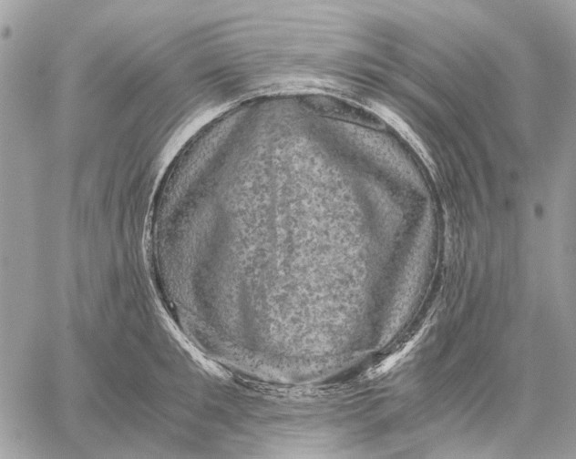 X0000058760901200510211654