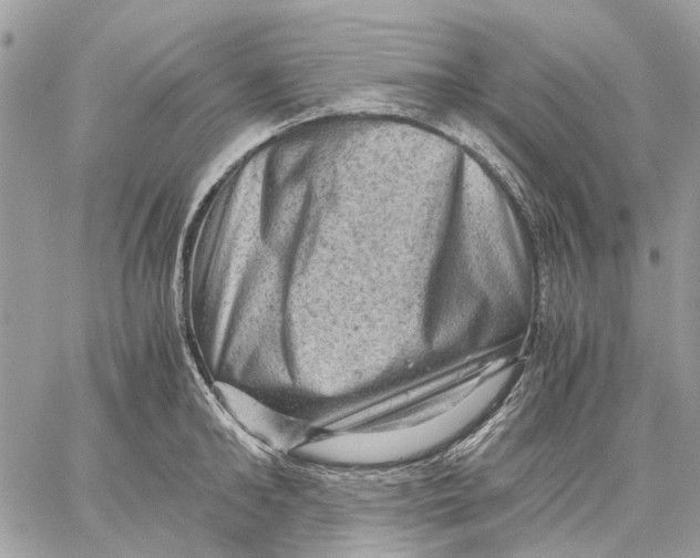 X0000058760902200510211654