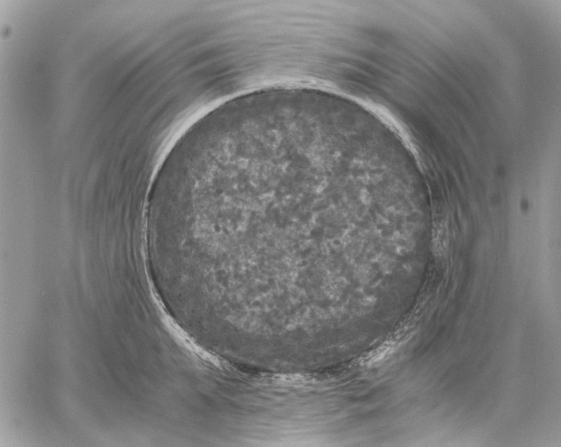 X0000058760903200510211654