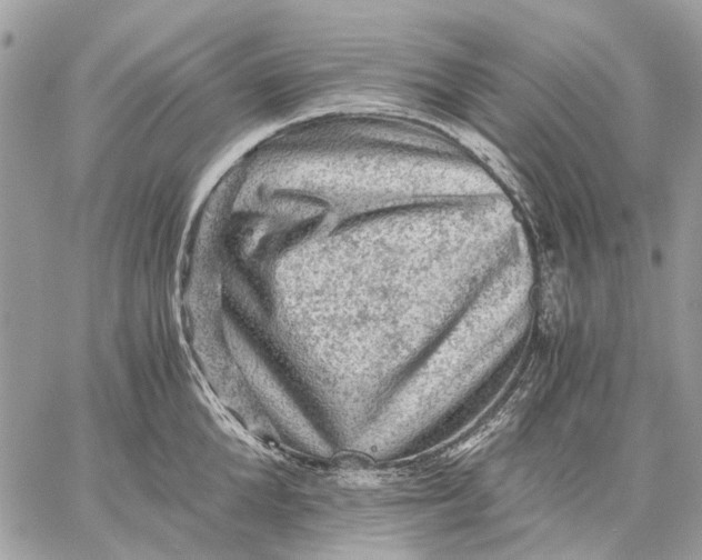 X0000058760904200510211654