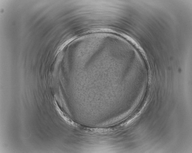 X0000058760905200510211654