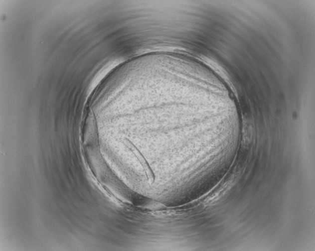 X0000058760906200510211654