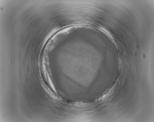 X0000058760907200510211654