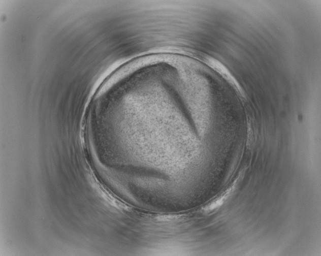 X0000058760908200510211654