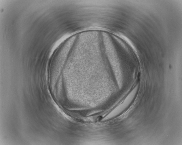 X0000058760910200510211654