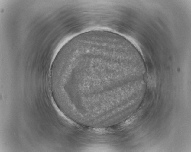 X0000058760911200510211654