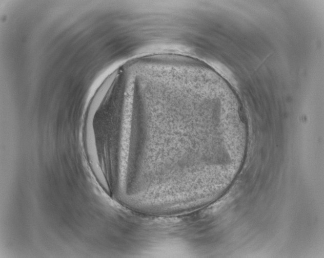 X0000058760912200510211654