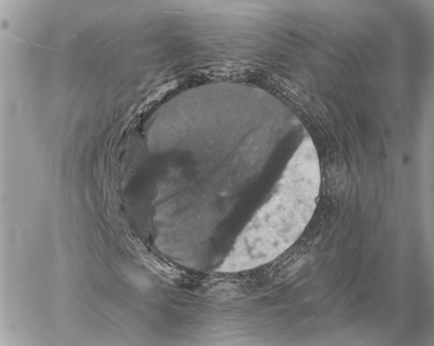 X0000058760913200510211653