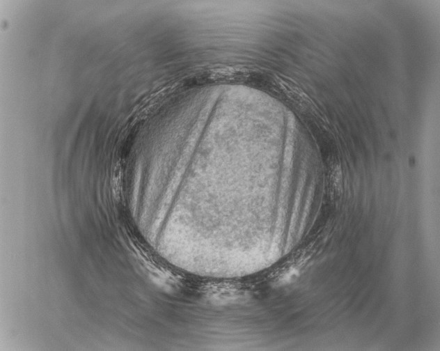 X0000058760914200510211653