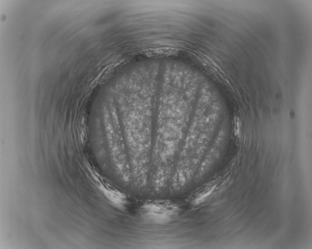 X0000058760915200510211654