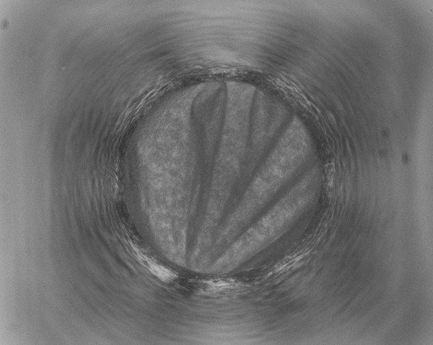 X0000058760916200510211654