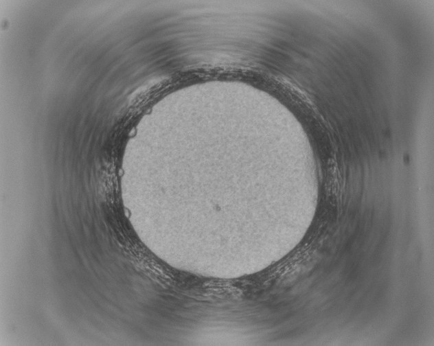 X0000058760918200510211654