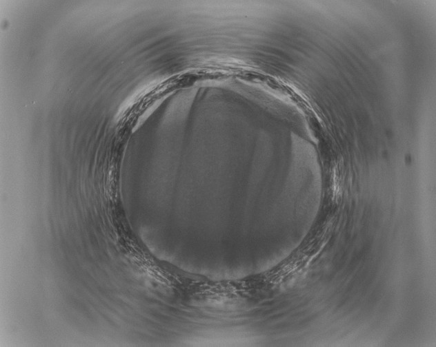 X0000058760919200510211654