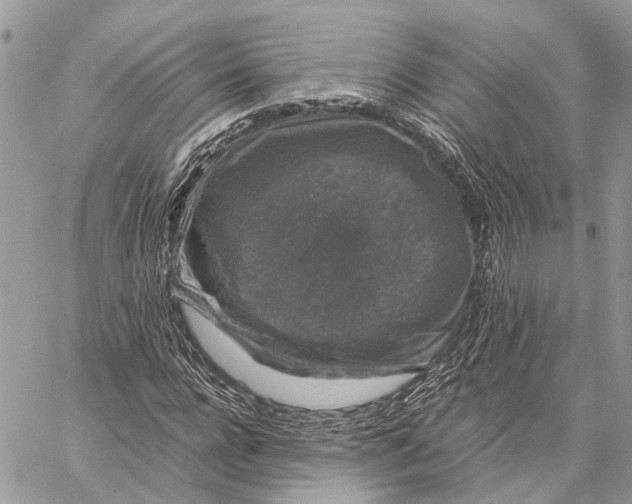 X0000058760920200510211654