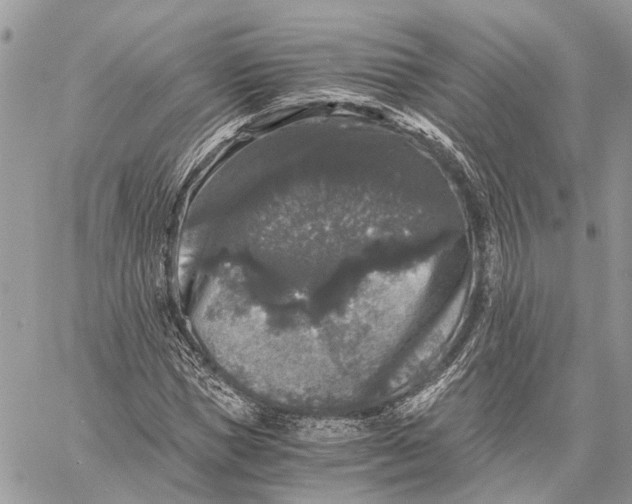 X0000058760921200510211654