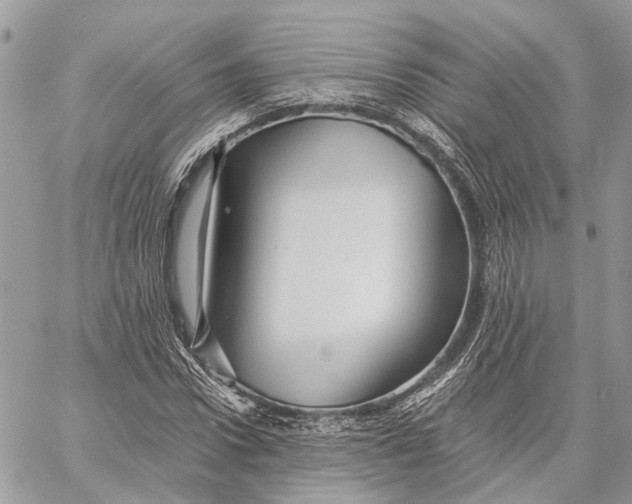 X0000058760922200510211654