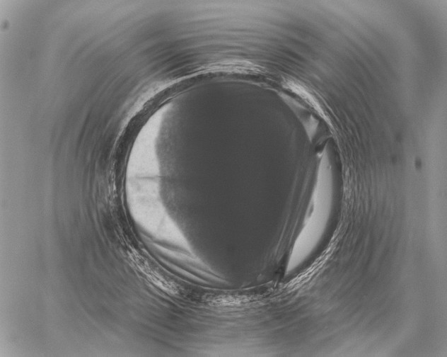 X0000058760923200510211654