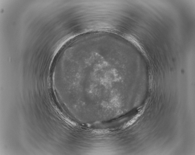 X0000058760924200510211654