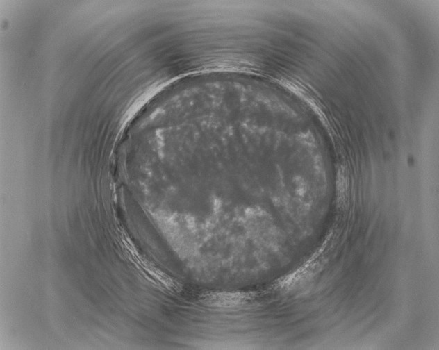 X0000058760925200510211654